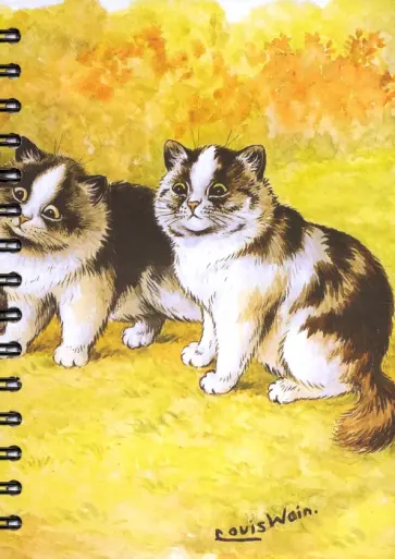 Скетчбук "Уэйн. За птичкой" (100 листов, А5, нелинованный, спираль) (5236) обложка книги