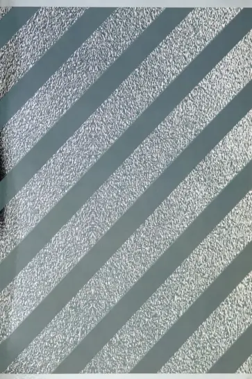 Тетрадь для конспектов, 80 листов, клетка, А4-, Металлик. Серебро (ТГ4804570) обложка книги