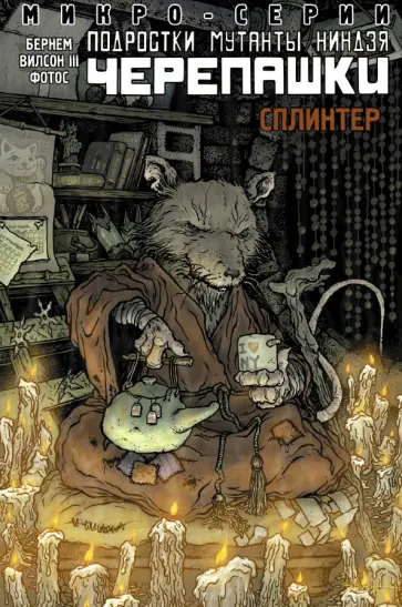 Эрик Бернем - Подростки Мутанты Ниндзя Черепашки. Микро-серии. Сплинтер Эрик Бернем - Подростки Мутанты Ниндзя Черепашки. Микро-серии. Сплинтер обложка книги