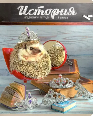 Тетрадь предметная "Тайная жизнь ежей. История" (28900) обложка книги