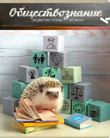 Тетрадь предметная "Тайная жизнь ежей. Обществознание" (28887) обложка книги