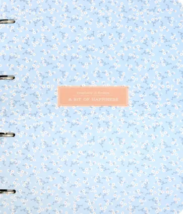 Тетрадь 120 листов, А4, кольцевой механизм "Joli, голубой" (N1988) обложка книги