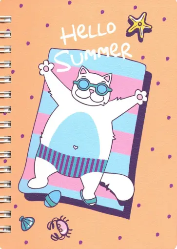 Блокнот 80 листов, 10*14 см, спираль "Hello summer, пляж" (N1947) обложка книги