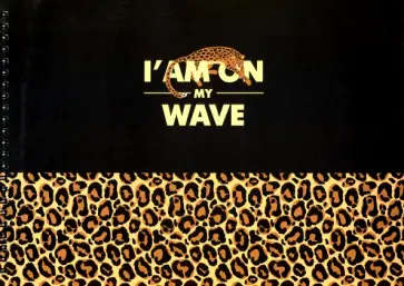 Альбом для рисования 40 листов, спираль "Leo"черный (N1959) обложка книги