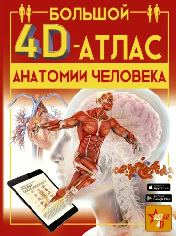 Анна Спектор - Большой 4D-атлас анатомии человека Анна Спектор - Большой 4D-атлас анатомии человека обложка книги