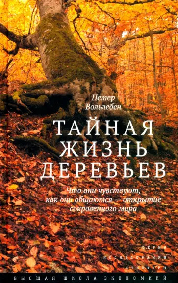Петер Вольлебен - Тайная жизнь деревьев. Что они чувствуют, как они общаются - открытие сокровенного мира обложка книги