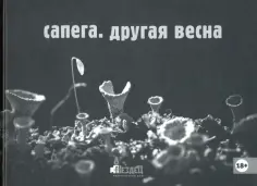 Михаил Сапего - Сапега. Другая весна Михаил Сапего - Сапега. Другая весна обложка книги