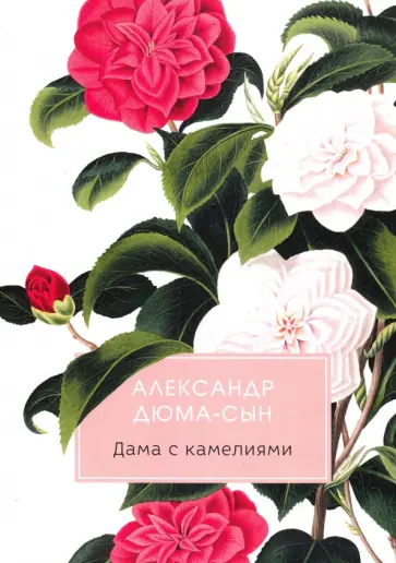 Александр Дюма - Дама с камелиями Александр Дюма - Дама с камелиями обложка книги