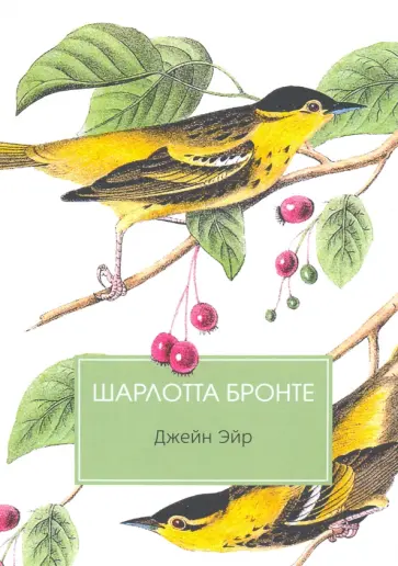 Шарлотта Бронте - Джейн Эйр Шарлотта Бронте - Джейн Эйр обложка книги