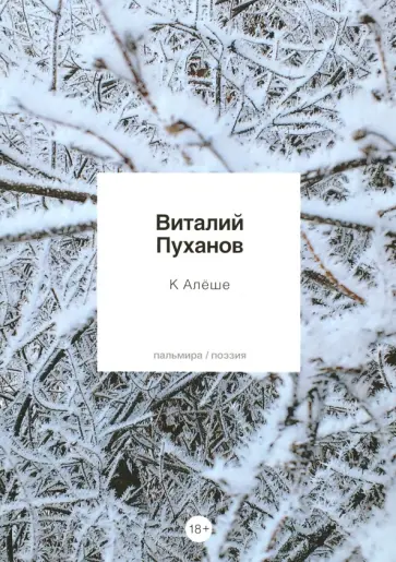 Виталий Пуханов - К Алеше: стихотворения Виталий Пуханов - К Алеше: стихотворения обложка книги