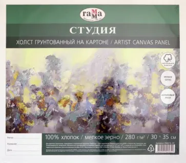 Холст "Студия" (30х35 см, мелкое зерно) (280818_05) обложка книги