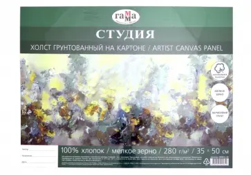 Холст 35х50 "Студия" мелкое зерно (280818_08) обложка книги