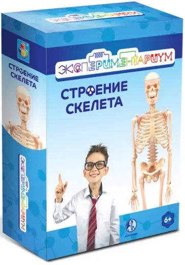 Набор "Строение скелета" (T17574) Набор "Строение скелета" (T17574) обложка книги