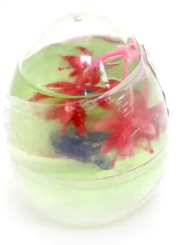 Мяшка с растением в яйце обложка книги