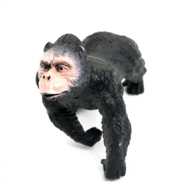 Дикое животное в дисплее, в ассортименте (Т10034) обложка книги