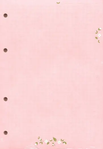 Блок сменный для тетради на кольцах "Joli" (80 листов, А5, клетка) (N2027) Блок сменный для тетради на кольцах "Joli" (80 листов, А5, клетка) (N2027) обложка книги