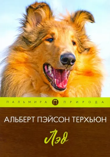 Альберт Терхьюн - Лэд обложка книги