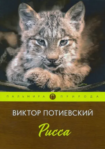 Виктор Потиевский - Рисса обложка книги