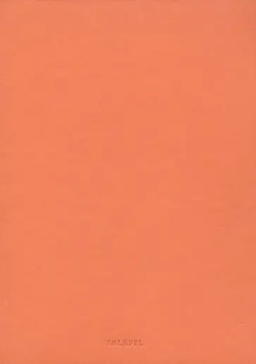 Блокнот "Terracotta" (60 листов, А5, нелинованный, с перфорацией) (529937) обложка книги