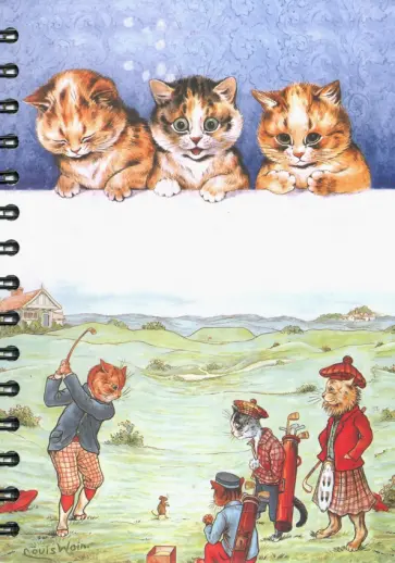 Скетчбук “Уэйн. Удар по мячу. Три милых маленьких котенка”, 100 листов, А5, спираль обложка книги