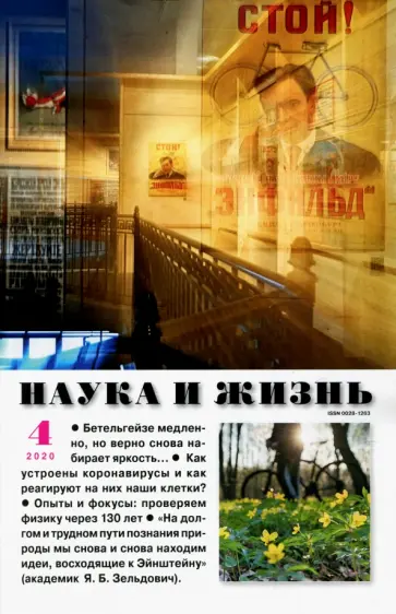 Журнал "Наука и жизнь" № 4. 2020 обложка книги