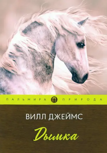 Джеймс Виль - Дымка Джеймс Виль - Дымка обложка книги