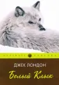 Пальмира - природа