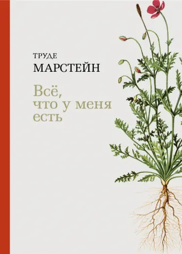 Труде Марстейн - Всё, что у меня есть обложка книги
