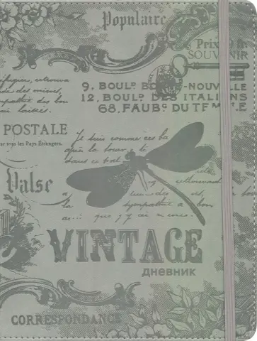 Дневник школьный "Стрекоза" кожзам (С1695-12) обложка книги