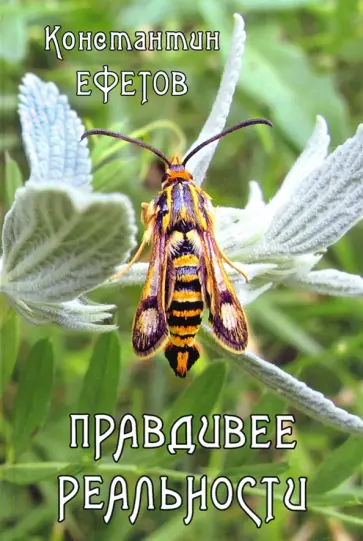Константин Ефетов - Правдивее реальности обложка книги
