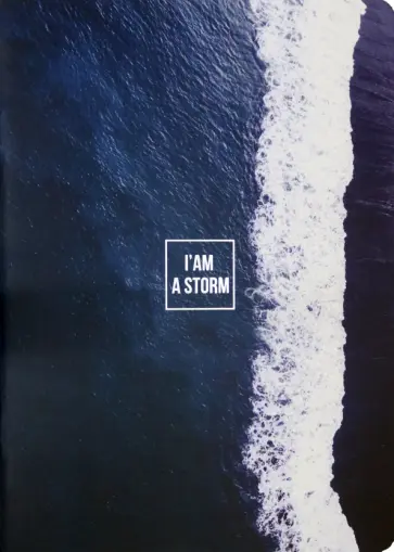 Тетрадь общая "Storm. Волна" (40 листов, А4, точка) (N1903) обложка книги