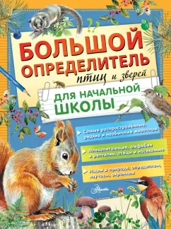 «ЭНАС-КНИГА». 10 книг с увлекательными заданиями для малышей | Майшоп