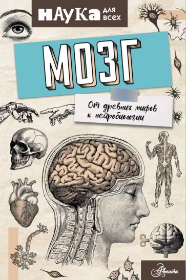 Энн Руни - Мозг. От древних мифов к нейробиологии обложка книги