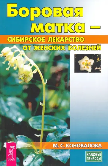 Марина Коновалова - Боровая матка - сибирское лекарство от женских болезней обложка книги