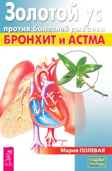 Мария Полевая - Золотой ус против болезней дыхания. Бронхит и астма Мария Полевая - Золотой ус против болезней дыхания. Бронхит и астма обложка книги