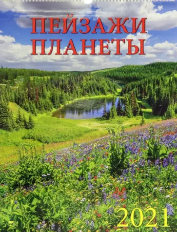 Календарь на 2021 год "Пейзажи планеты" (13105) Календарь на 2021 год "Пейзажи планеты" (13105) обложка книги