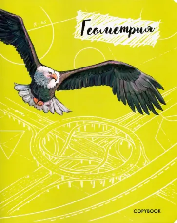 Тетрадь предметная "Геометрия" (48 листов, А5, клетка) (52172) обложка книги