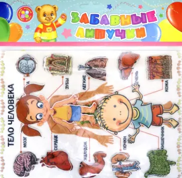 Тело человека. Игра развивающая для детей старше 3-х лет обложка книги