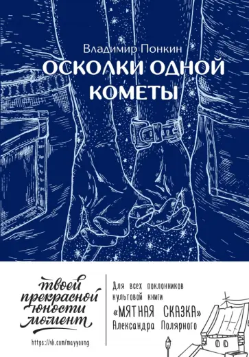 Владимир Понкин - Осколки одной кометы Владимир Понкин - Осколки одной кометы обложка книги