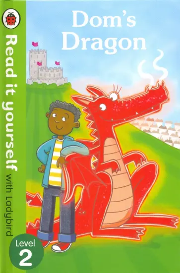 Mandy Ross - Dom's Dragon обложка книги