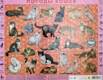Породы кошек. Детский пазл на подложке, 63 элемента обложка книги
