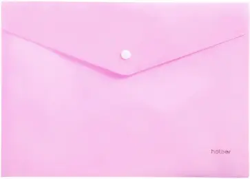 Папка-конверт пластиковая на кнопке "NEWtone Pastel ПИОН" А4 (AKк4_05018) обложка книги