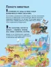 Миниатюра 4