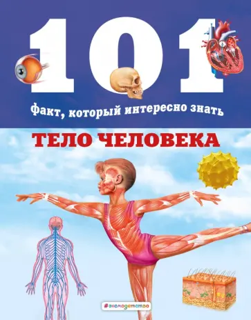 Бакеро, Домингес - Тело человека обложка книги