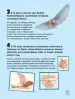 Миниатюра 5