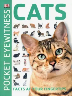 Cats обложка книги