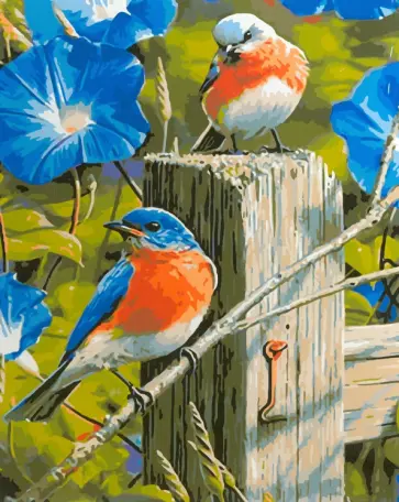 Картина для раскрашивания по номерам "Птички", 40х50 см (M-11425) обложка книги