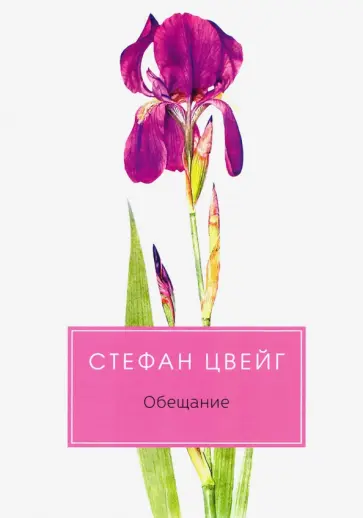 Стефан Цвейг - Обещание Стефан Цвейг - Обещание обложка книги