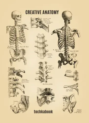 Точкабук. Анатомия обложка книги