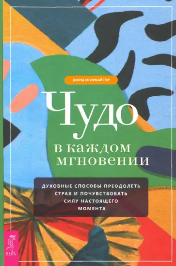 Дэвид Хоффмайстер - Чудо в каждом мгновении. Духовные способы преодолеть страх и почувствовать силу настоящего момента Дэвид Хоффмайстер - Чудо в каждом мгновении. Духовные способы преодолеть страх и почувствовать силу настоящего момента обложка книги